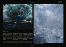 Load image into Gallery viewer, Oceania